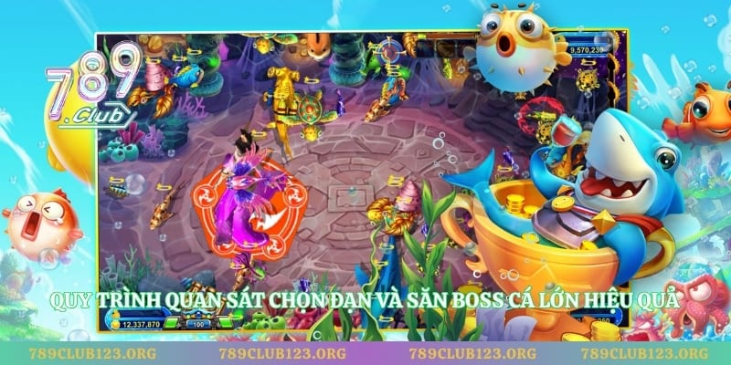 Quy trình quan sát chọn đạn và săn boss cá lớn hiệu quả